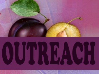 Outreach Ministry Events 13